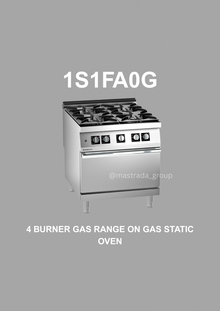 1S1FA0G | 1N1FAAG