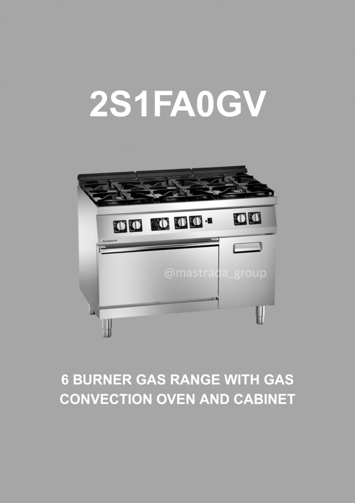 2S1FA0GV | 2N1FAGV